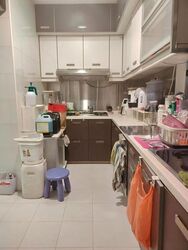 Castle Green (D26), Condominium #637189591